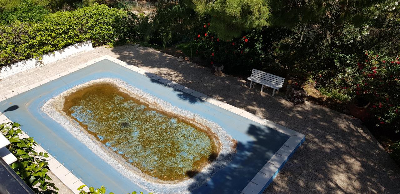 19-06-2019_20190619_113822 - copia.jpg